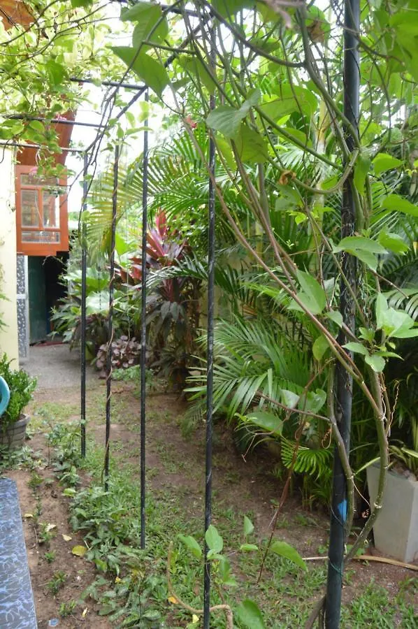 Homestay Familyhouse Apartment Negombo Sri Lanka
