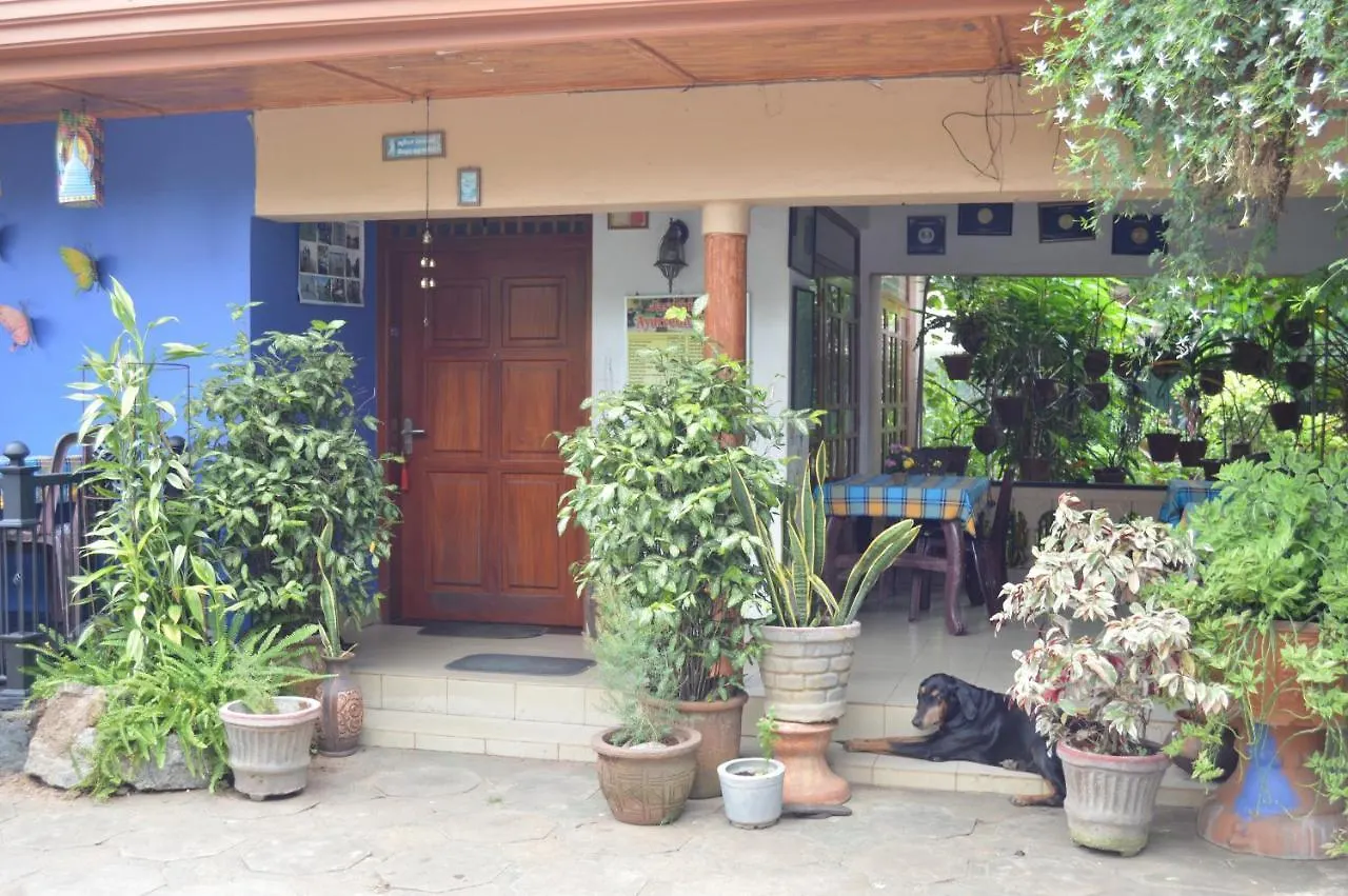 Familyhouse Apartment Negombo Homestay