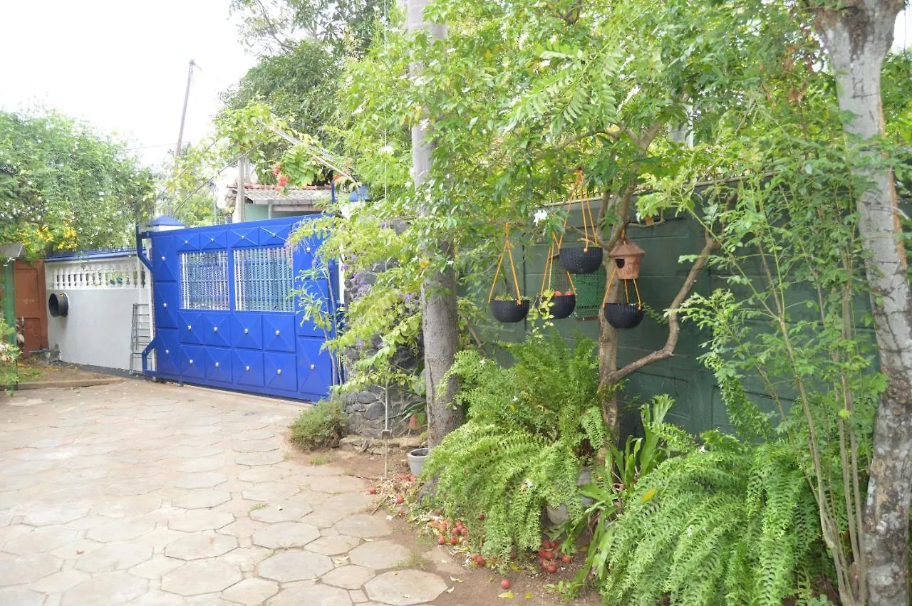 Homestay Familyhouse Apartment Negombo Sri Lanka