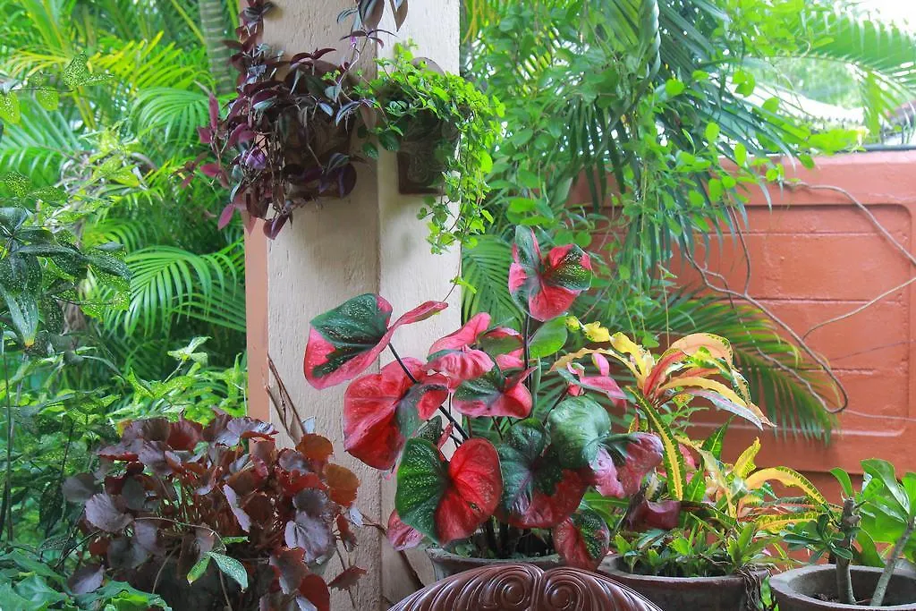 Homestay Familyhouse Apartment Negombo