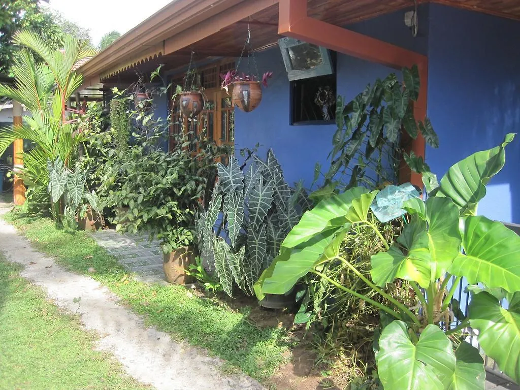 Homestay Familyhouse Apartment Negombo Sri Lanka